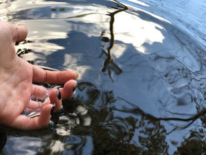 Meet your Posher, C.r.